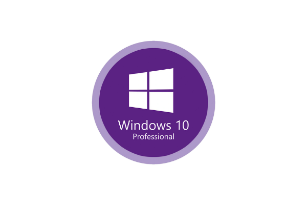 windows 10 Professional do kupienia w Programie Laboratoria Przyszłości